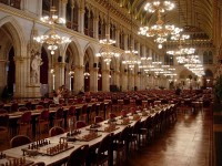 Vienna sede gioco_foto marzano