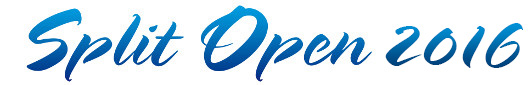 logo2016