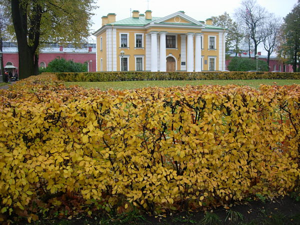 SanPietroburgo_41_opt