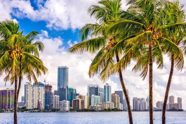 miami panorama